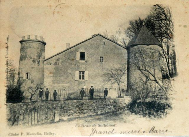 Chateau De Sothonod Экстерьер фото
